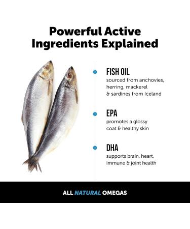 Omega-3 Fish Oil for Dogs - Pet Liquid Food Skin & Coat Health Supplement - EPA + DHA Fatty Acids May Reduce Shedding & Itching- Supports Immunity Hip Joint Brain & Heart Health (16 Oz) - Buy Online on GoSupps.com