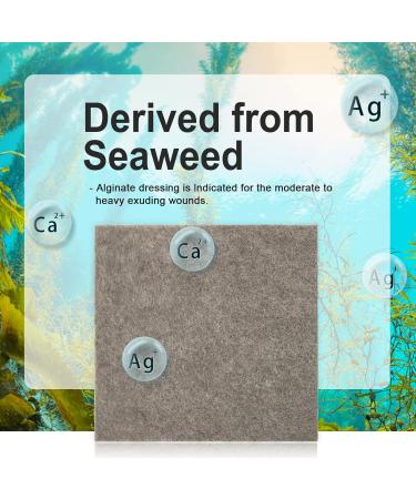 Carbou Silver Calcium Alginate Wound Dressing with Ag - 3x3 Patches | 10 Sterile Highly Absorbent Non-Stick Pads - Ideal for Effective Wound Care - Buy Online on GoSupps.com