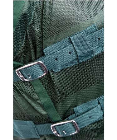 RL24 Flying Ceiling for Horses - Effective Insect Protection & Eczema Blanket | Adjustable Breathable & Durable | Green 165cm - Buy Online on GoSupps.com