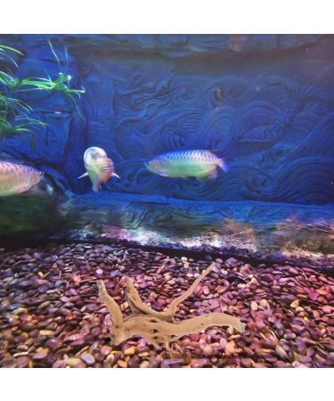 POPETPOP Aquarium Driftwood Branches- 3pcs Aquarium Driftwood for Reptiles Freshwater Terrarium Decor Reptile Tank Accessories Spiderwood for Aquarium - Buy Online on GoSupps.com