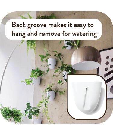 Set of 3 MakeGood Virgo Wall Planters: Lightweight, Easy to Water & Install, Melamine Plastic - Create Your Vertical Garden - Buy Online on GoSupps.com