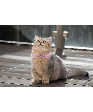 WDPAWS Heart Bling Pink Cat Collar - Adjustable Safety Belt and Bell - Ideal for Kitten Cats 8-11 inches - Buy Online on GoSupps.com