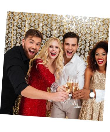 Disco Rain Curtain - Silver Tinsel Foil Backdrop for Parties Bachelorette Prom & Events - Buy Online on GoSupps.com