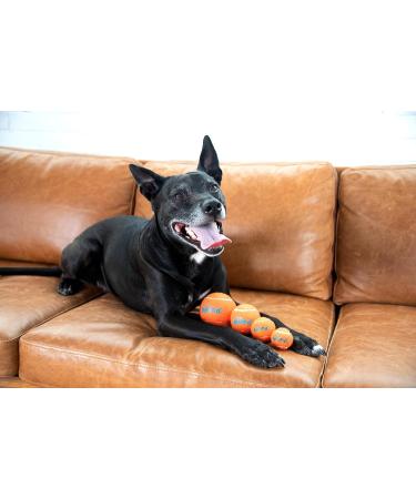 Outward Hound Squeaker Ballz - XS Dog Fetch Toy - 4-Pack for Fun Fetch Play | International Shipping Available - Buy Online on GoSupps.com