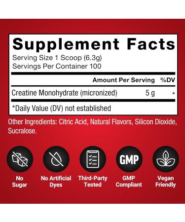 Force Factor Creatine Monohydrate Powder 5g Micronized Dose to Support Muscle Growth Strength Recovery Cognitive Health & Working Memory Raspberry Lemonade 100 Servings - Buy Online on GoSupps.com