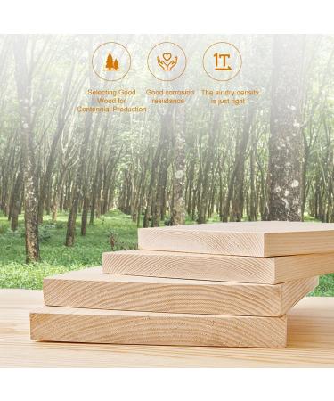 Rubber Wood Rotating Storage Rack Hairdressing Scissors and Comb Organizer Multi-Purpose Storage Rack for Home Salon Use - Buy Online on GoSupps.com