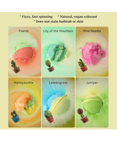 Blue Velvet 6 Pack 3.6 OZ Bath Bombs Gift Set with Family Cactus Surprise - MISHIU Bubble Bombs Lily Lemongrass Juniper Scented Fizzy C005 - Buy Online on GoSupps.com