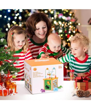 Jerryvon 6-in-1 Motoric Cube Wooden Toys for Toddlers - Educational Labyrinth Toy for Kids Age 1-2 Perfect for Boys & Girls - Buy Online on GoSupps.com