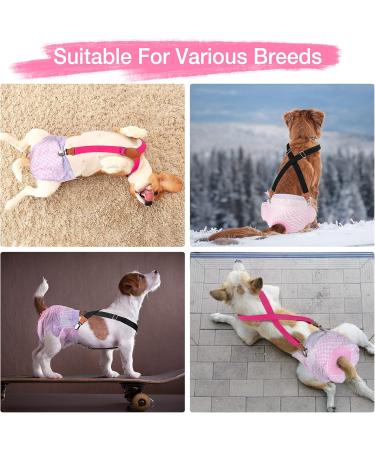 Soft Dog Diaper Trousers - 2 Pack | Pet Clothing Harness for Puppies | Black-Pink L | Comfortable & Stylish Dog Diapers - Buy Online on GoSupps.com