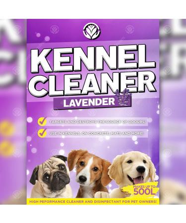 GardenersDream Kennel Cleaner 1 x 5L - Professional Safe Dog Cat Pet Odour Remover and Disinfectant 5 Litre Fragrance Fresh Concentrate 2 in 1 Simply Mix and Spray Solution (Lavender) - Buy Online on GoSupps.com