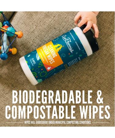 Aunt Fannie's Sweet Mandarin Cleaning Vinegar Wipes - 35 Count - Buy Online on GoSupps.com