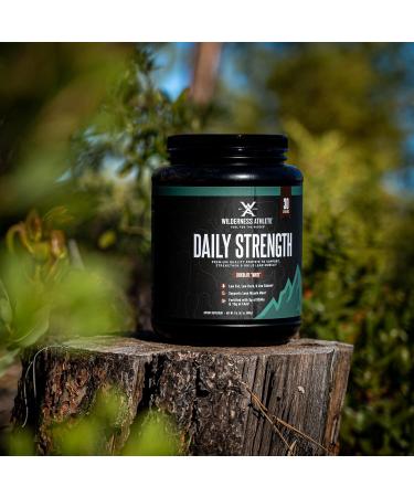 Buy Wilderness Athlete Daily Strength Premium Protein - Top Whey Protein Powder for Lean Muscle (Chocolate Moose) - Clean Protein for Men & Women | International Shipping Available - Buy Online on GoSupps.com