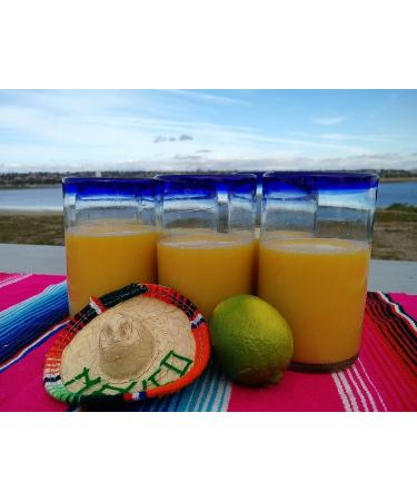 Set of 6 Hand Blown Mexican Drinking Glasses with Cobalt Blue Rims - 14 oz each - Buy Online on GoSupps.com