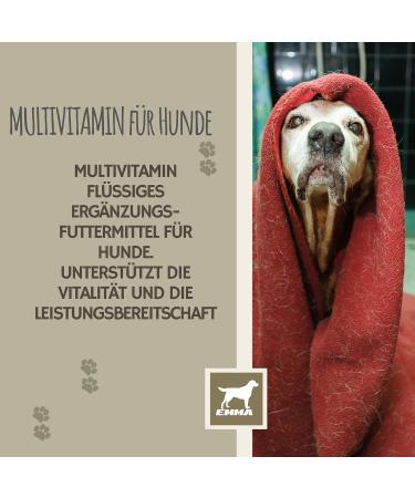 Vitamins for Dogs 1 ml + Paste 15 ml Vitamin B Complex for Dogs Vitamins B + Vitamin ACD Calcium Strengthens Vitality Multivitamins & Minerals Supports the Immune System Skin Coat - Buy Online on GoSupps.com
