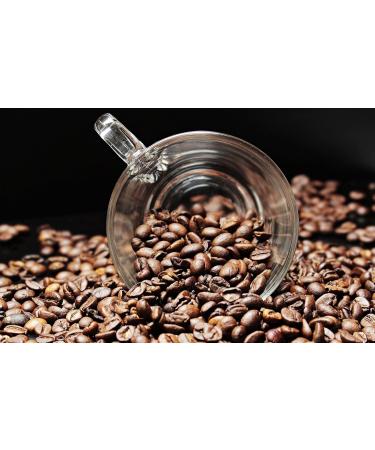 South American Specialty Coffee - Galapagos the special ecosystem of the islands (1000 grams whole beans) - Buy Online on GoSupps.com