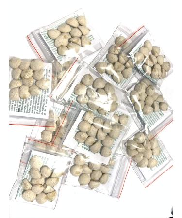 6 Pack Indian Nut 72 Seeds for Weight Loss original Nut Indian seed
