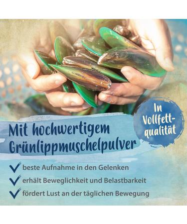 Ida Plus Sportsfreund - Joint Support for Dogs | Delicious Green Lip Shell Snacks for Mobility & Agility | 30-Day Supply - Buy Online on GoSupps.com