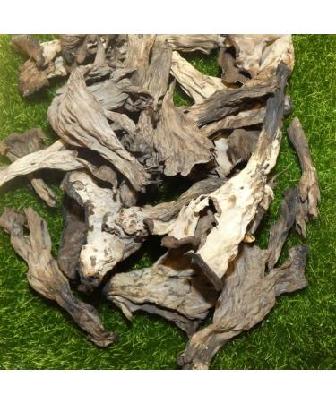  Bontout Set of 3 Trumpets - Pot 100 g - Buy Online on GoSupps.com