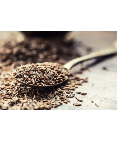 Club House Quality Natural Herbs & Spices Celery Seed 105g - Buy Online on GoSupps.com