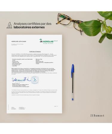  Zenement NAD+ Liposomal 1000 mg High Bioavailability and Good Tolerance Gastroresist and Vegan Capsules With L-Tryptophan Niaci - Buy Online on GoSupps.com