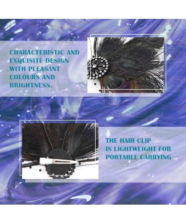 FERCAISH Women's Plumage Mesh Hair Clip 20s Hair Clip Vintage Costume Hair Accessories Fascinator Headwear for Women Birthday Wedding Party (Black) - Buy Online on GoSupps.com