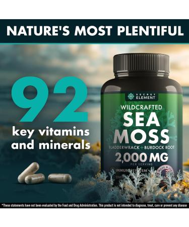 Buy Advanced Sea Moss Capsules - Irish Sea Moss with Burdock Root & Bladderwrack for Immunity Gut Health & Energy - 120 Superfood Pills - Buy Online on GoSupps.com