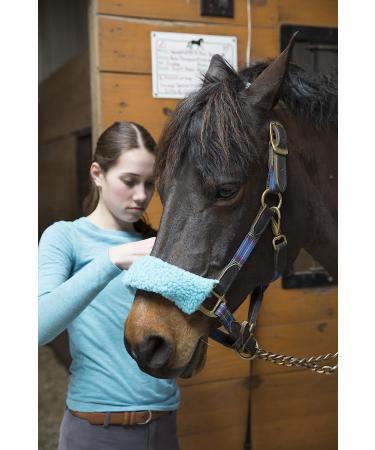 Intrepid International Halter Fleece Set Black - Premium Quality Horse Halter Accessories - Buy Online on GoSupps.com