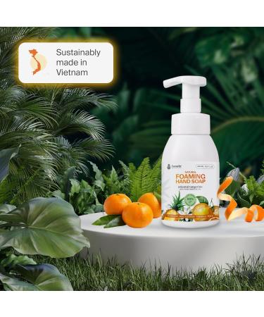 Fuwa3e Pineapple Enzyme Natural Foam Hand Wash Tangerine - 10.1oz 1 Pack - 99% Organic Hand Wash Soap with Fermented Pineapple Peels - Non Toxic Hand Soap Sensitive Skin Safe With Pure Essential Oil Oriental Tangerine 10.1  - Buy Online on GoSupps.com