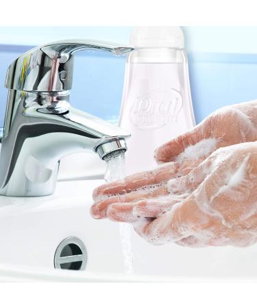 Dial Complete Foaming Antibacterial Hand Wash - Soothing White Tea - 7.5oz (1 Pack) - Buy Online on GoSupps.com