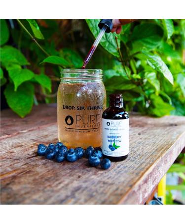 Pure Inventions Blueberry & White Tea Infusion Drops - 60 Servings, 2oz - No Sugar or Artificial Sweeteners - Buy Online on GoSupps.com