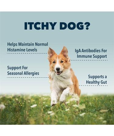 Four Leaf Rover: Bovine Colostrum from New Zealand Grass-Fed Cows - Dog Itch Relief and Immune Support - Up to 120 Servings Depending on Dog s Weight - Vet Formulated - Delicious - for All Breeds - Buy Online on GoSupps.com