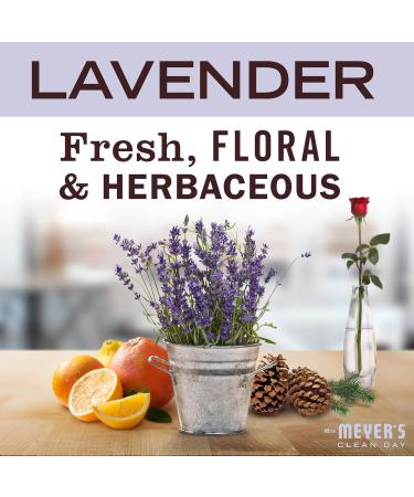 MRS. MEYER'S CLEAN DAY Foaming Hand Soap Concentrated Refills, 4 Concentrated Refills (2 Fl. Oz each), Lavender Scent, Makes 40 Fl. Oz. of Foaming Soap Total - Buy Online on GoSupps.com