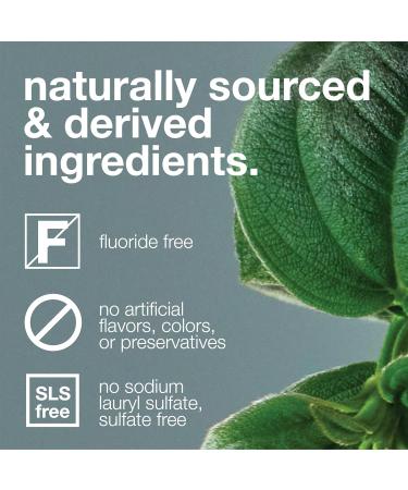 Davids Nano Hydroxi and Antiplaque Strawberry Watermelon Fluoride Free Toothpaste Bundle, SLS Free, Recyclable Metal Tube, Made in USA, 4 oz and 5.25oz - Buy Online on GoSupps.com