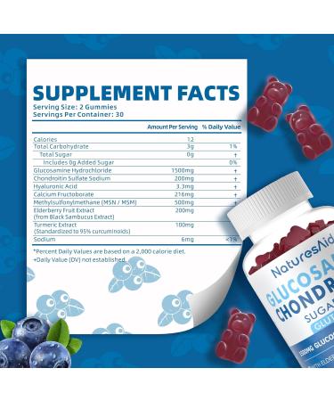 Glucosamine Chondroitin Gummies with MSM & Elderberry - Extra Strength Joint Support & Immune Booster for Adults (2 Pack 60 Count Blueberry - Buy Online on GoSupps.com