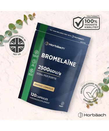 Bromelain 500mg Capsule 2500 GDUg 180 Vegan Bromelain Capsules High Dose from Horbaach - Buy Online on GoSupps.com