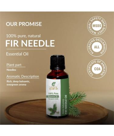 Pure Balsam Fir Needle Oil -(Abies Balsamea)- Essential Oil 100% Pure Natural Undiluted Uncut Therapeutic Grade Oil 1.01 Fl.OZ 1.01 Fl Oz (Pack of 1) - Buy Online on GoSupps.com
