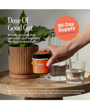 Cliganic Sugar-Free Probiotics Gummies for Men & Women (5 Billion CFU 30-Day Supply) - Berry Flavor Vegan Non-GMO Kosher Gluten-Free Promotes Digestive Health Balances Gut Microbiome 30 Count (Pack of 1) - Buy Online on GoSupps.com