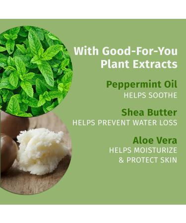 Hempz NEW Pink Peppermint Meringue Body Moisturizer Body Lotion Fall and Winter Skin Care for Men & Women Limited Edition 17 fl.oz. Pink Peppermint 17 Fl Oz (Pack of 1) - Buy Online on GoSupps.com