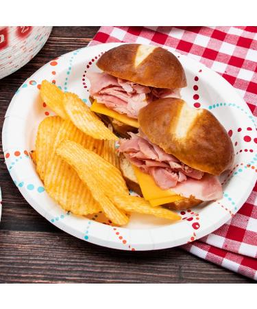 Solo Any Day Paper Plates 8.5 Inch - 360 Count | Convenient Disposable Plates - Buy Online on GoSupps.com