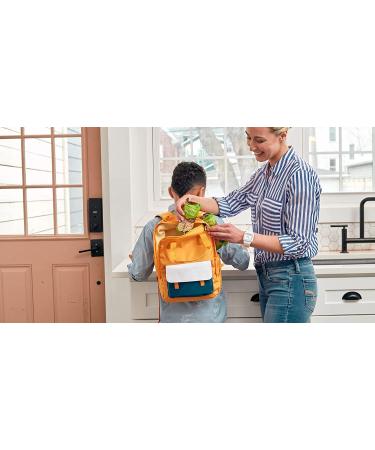 Organic Brown Rice Snacks - Crunchy Rollers - 32 Pieces - Friendly Grains - Buy Online on GoSupps.com