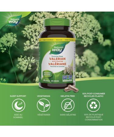 Nature's Way Valerian Root / 180 Veg Caps Beige Natural 180 count (Pack of 1) - Buy Online on GoSupps.com