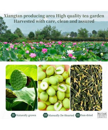 Lotus Seed Core Tea for Man Lian Zi Xin Tea Liver and Kidney Care Tea Dried Lotus Plumule Lotus Embryo Tea Liver Care Tea Men's Conditioning Tea (3 Pcs) - Buy Online on GoSupps.com