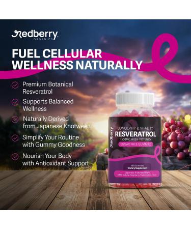 Redberry Organics Resveratrol Supplement 1500mg Gummies | 98% Pure Japanese Knotweed | Resveratrol Organic Ingredients Sugar-Free Gluten Free | Daily Longevity & Healthy Aging Supplement - Buy Online on GoSupps.com