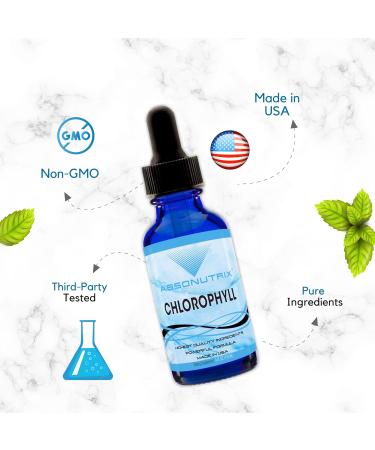 Absonutrix Chlorophyll Liquid Drops 323 mg 4 Oz Liquid 365 Servings Made in USA Quick Absorption Quality Potent Ingredients Non-GMO GMP Certified Cruelty-Free Products - Buy Online on GoSupps.com