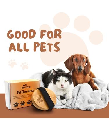 Bamboo Handheld Pet Brush with Soft Boar Bristles for Dogs and Cats - 1 Pack - Buy Online on GoSupps.com