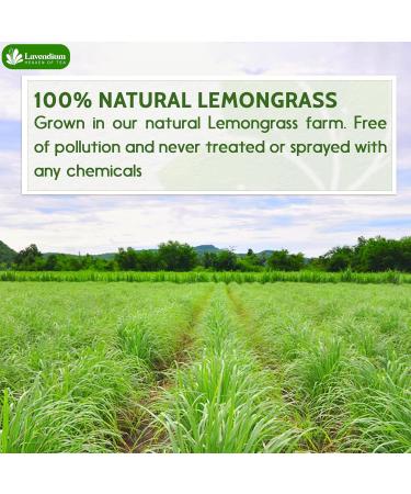 Lavendium 100g (3.5oz) Lemongrass Dried Leaves (Cut & Sifted) 100% Natural & Pure Lemongrass leaves Lemongrass Herbal Tea. Lemongrass Leaf Tea. No Sugar No Caffeine No Gluten Vegan. - Buy Online on GoSupps.com