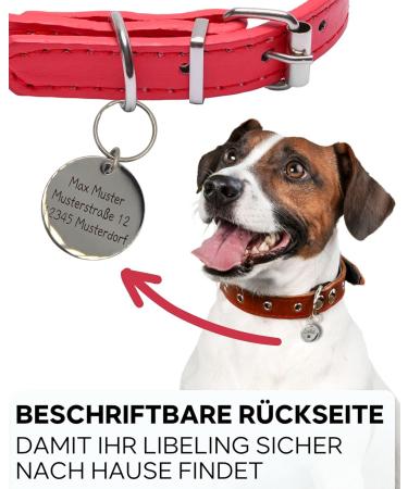 Engraved Personalized Dog Collar Trailer - Paws & Peewees | Custom Name Symbol & Phone Number Badge - 28mm Silver Gloss - Buy Online on GoSupps.com