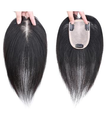 100% Real Human Hair Toppers Toupee For Women 10/12inch Hair Extensions 8x12cm Silk Base Hair Pieces Clip In Top Wiglets For Hair Loss/Thin Hair/Gray Hair (Size : 10 inch)