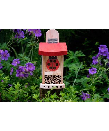 Wildlife World LBT4 Live Ladybird Lodge in Red/Brown - Natural Pest Control Solution - Buy Online on GoSupps.com