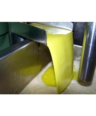  Oleo Estrella Huile d'Olive Extra Vierge 5 Litres Picual Oleo Estrella - Buy Online on GoSupps.com